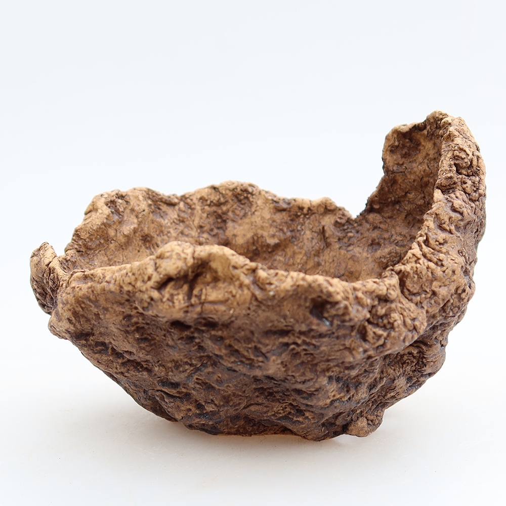 Coquille en céramique 10 x 9,5 x 8 cm , couleur marron