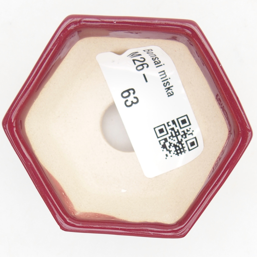 Mini bol bonsaï 6 x 5,5 x 2,5 cm, bordeaux