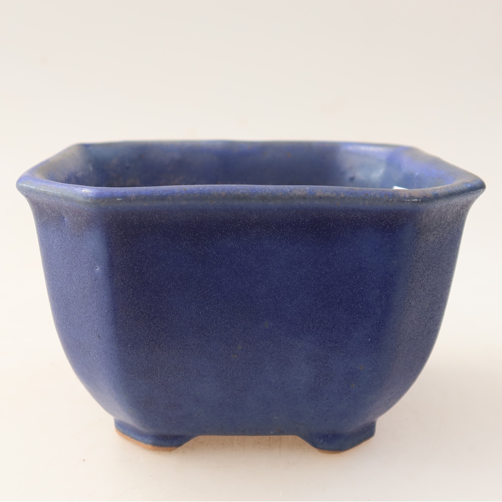 Pot à bonsaï en céramique 10 x 10 x 6,5 cm, couleur bleue