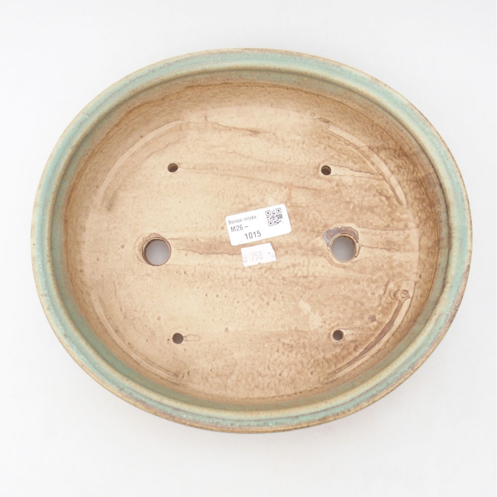 Bol à bonsaï en céramique 26 x 23,5 x 5,5 cm, vert