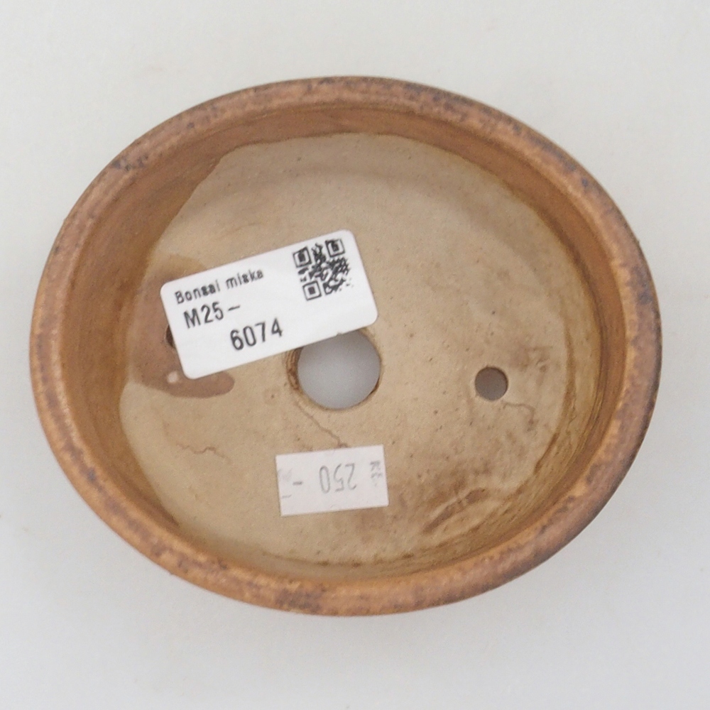 Bol à bonsaï en céramique 10 x 8,5 x 4 cm, brun