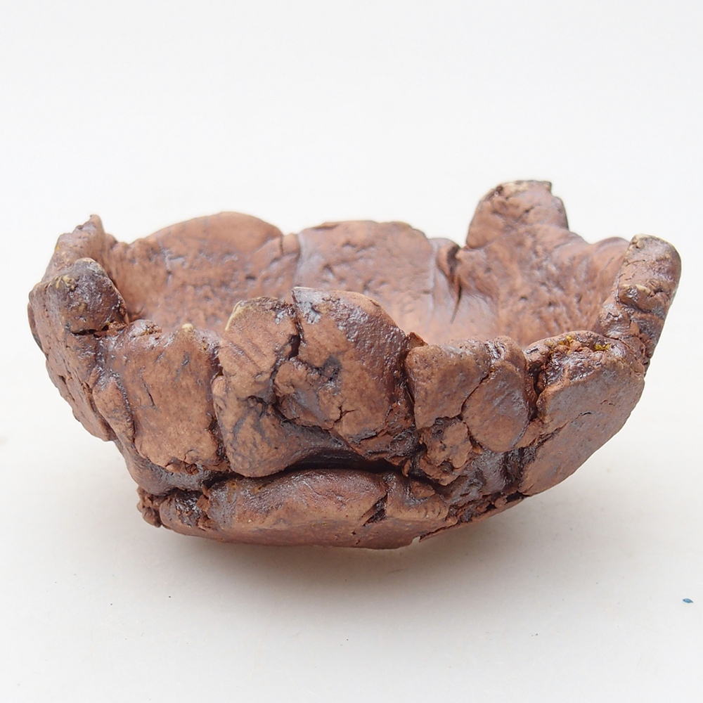 Coquille en céramique 9 x 9 x 4,5 cm , couleur marron