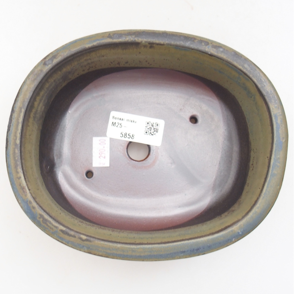 Bol à bonsaï en céramique 22 x 17 x 5 cm, vert