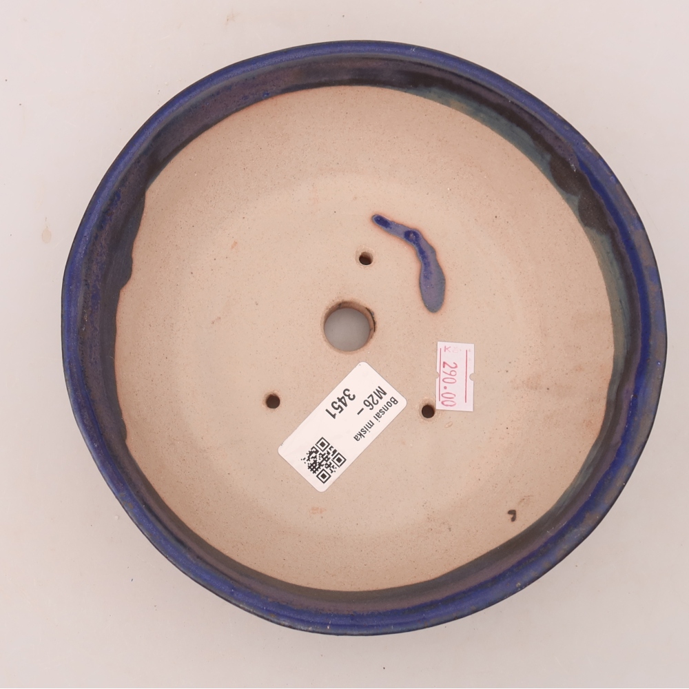 Pot à bonsaï en céramique 17 x 17 x 5 cm, couleur bleue