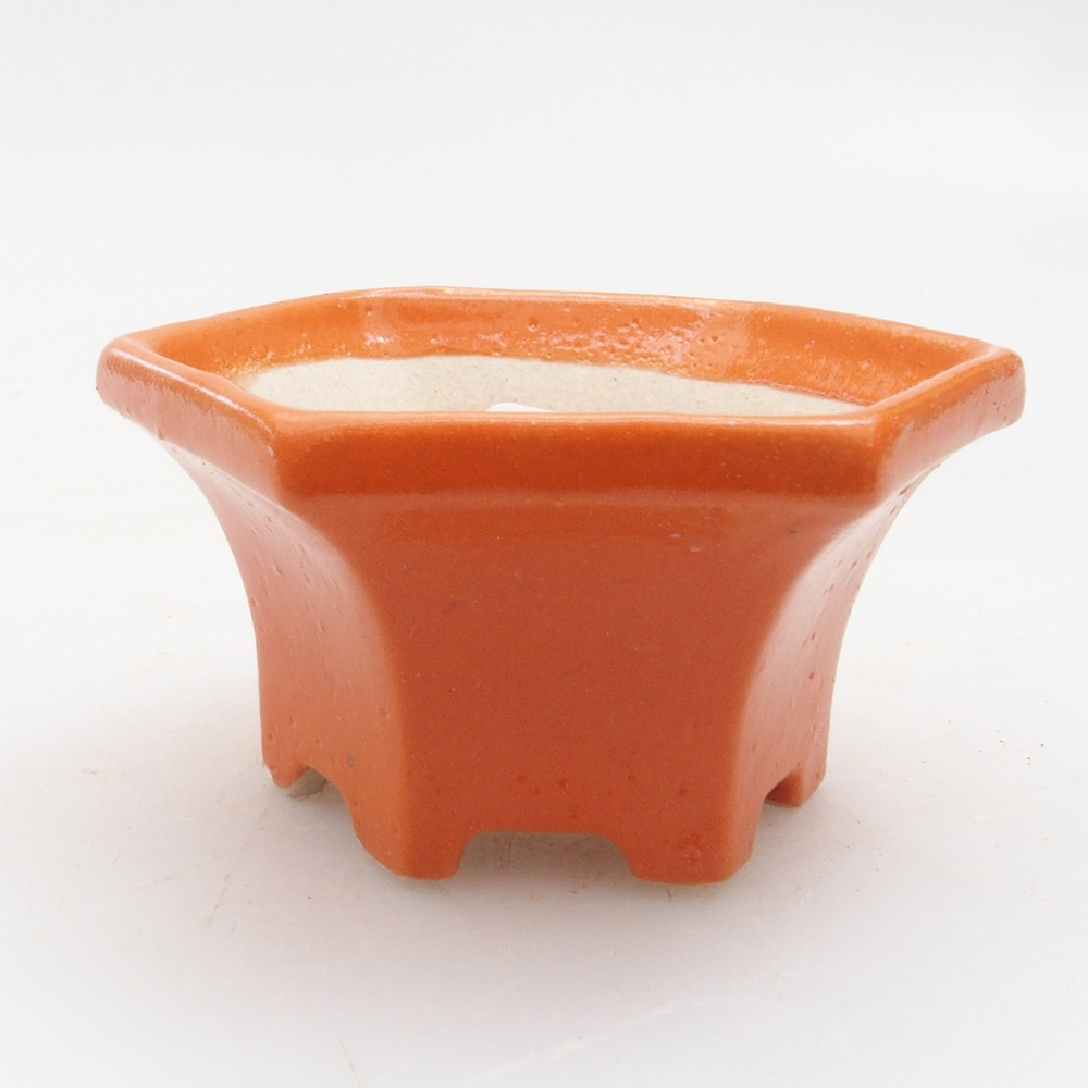 Mini bol bonsaï 5 x 4,5 x 2,5 cm, orange
