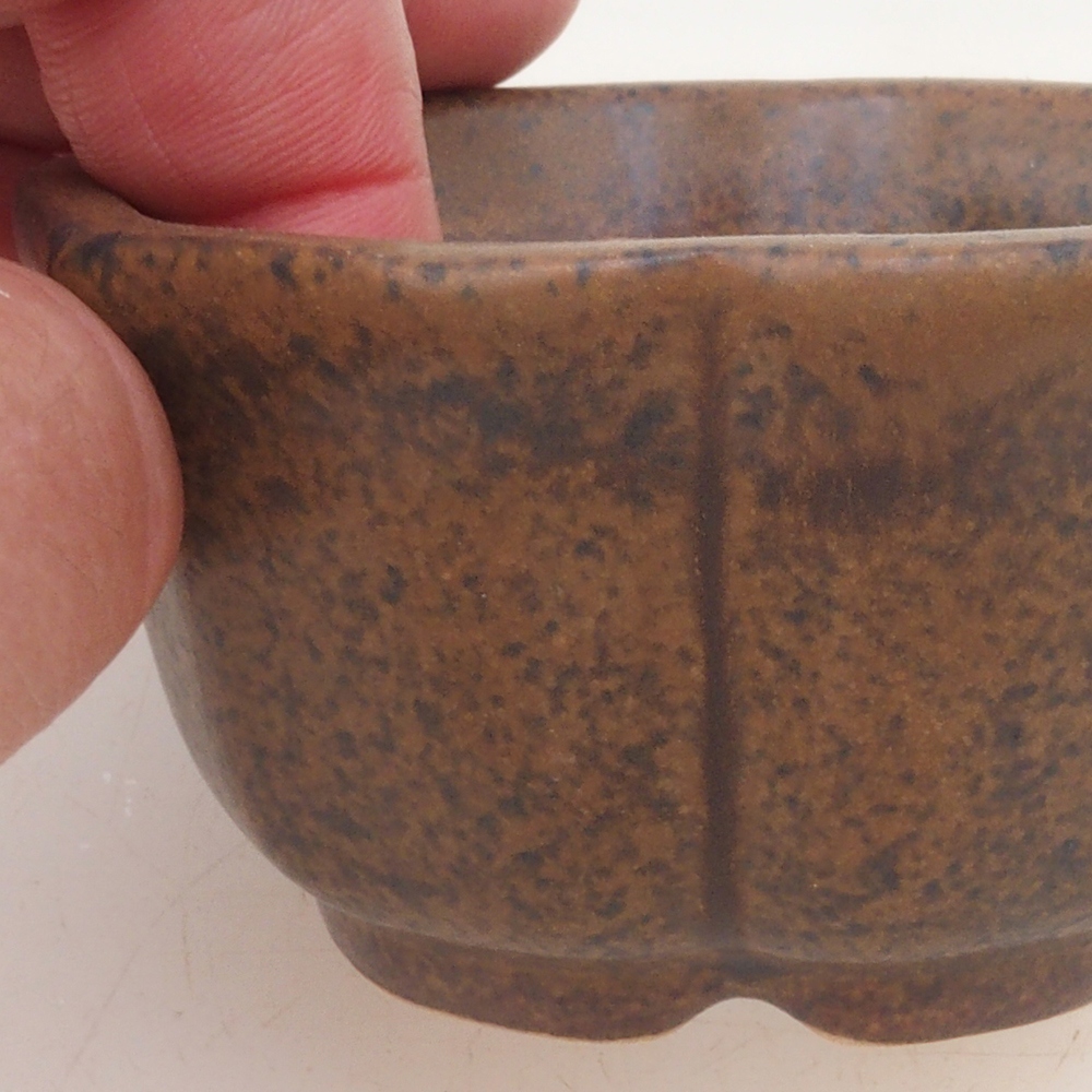 Bol à bonsaï H95 - 7,5 x 7,5 x 4 cm - brun