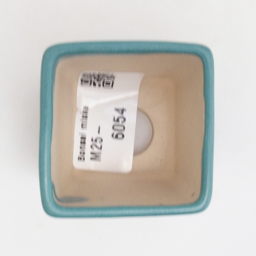 Bol à bonsaï en céramique 6,5 x 5,5 x 4 cm, couleur bleu