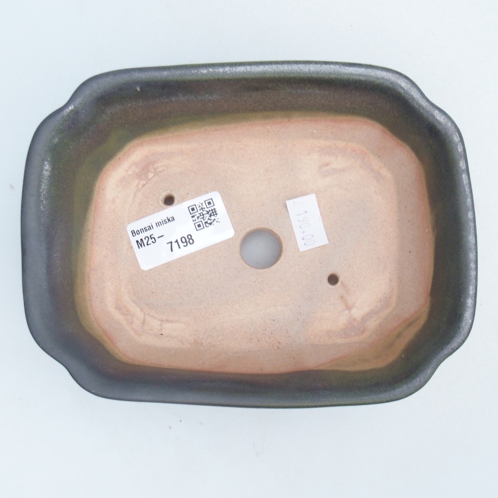 Bol à bonsaï en céramique 16 x 12 x 5 cm, vert