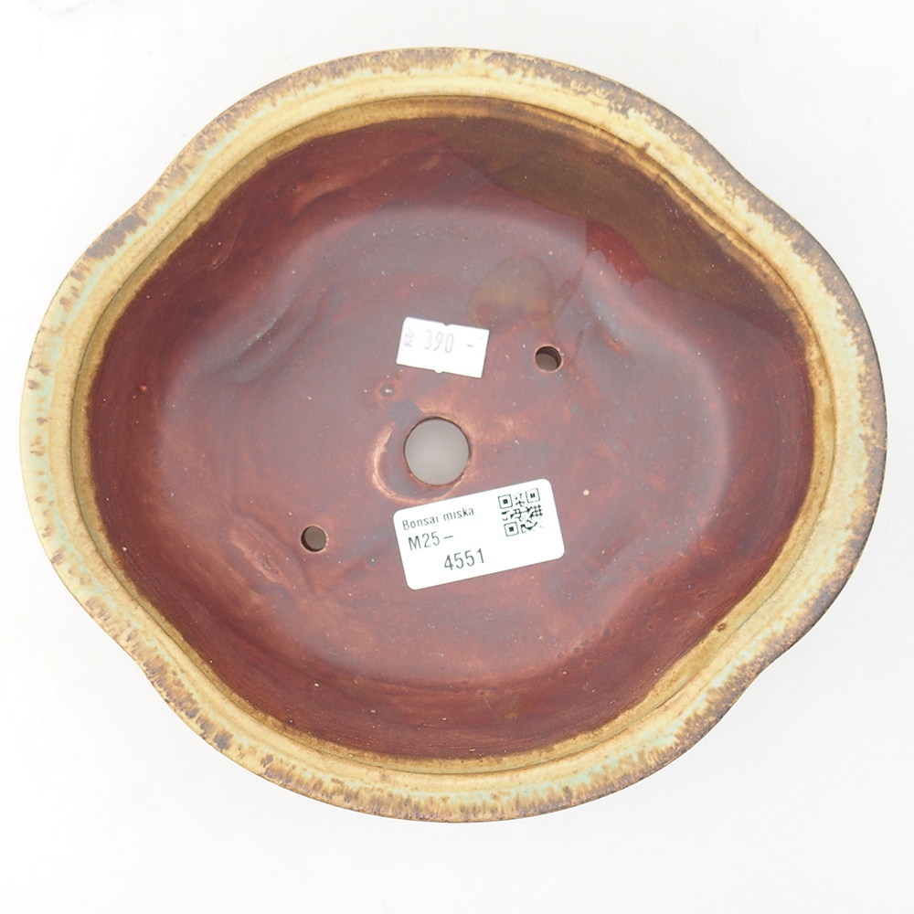 Bol à bonsaï en céramique 19 x 17 x 6 cm, vert