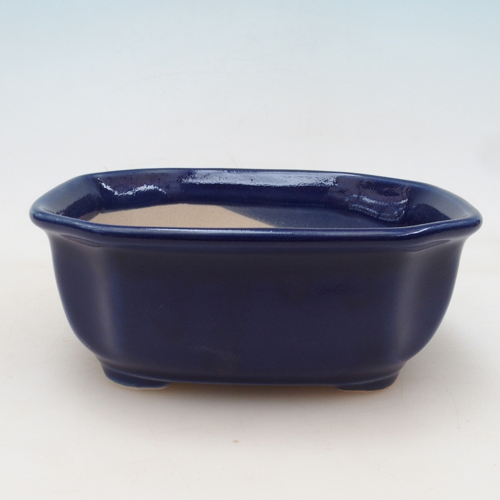 Coupe Bonsaï H31 - 14 x 12 x 5,5 cm - bleu