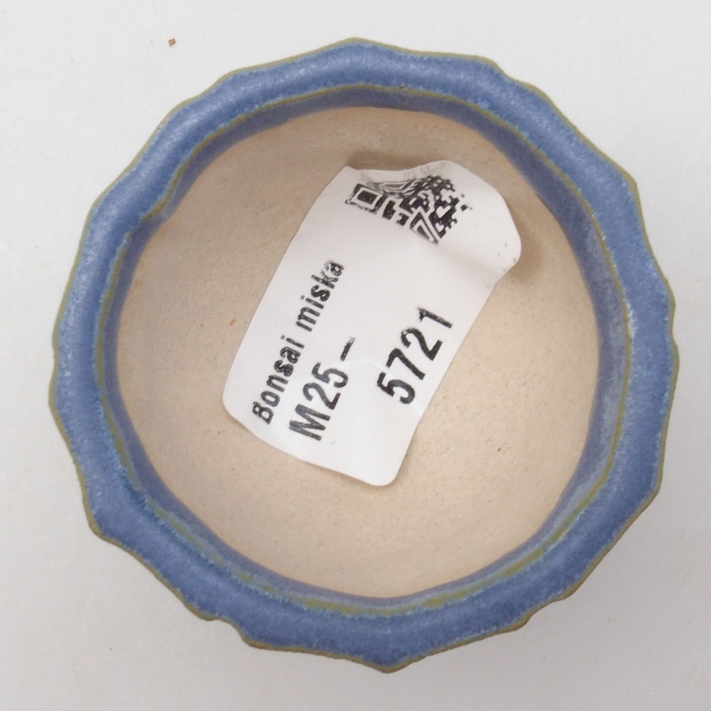 Mini bol bonsaï 5 x 5 x 3 cm, bleu