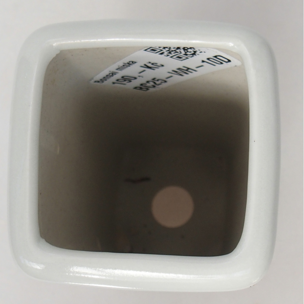 Bol à bonsaï en céramique 5,5 x 5,5 x 12 cm, couleur blanc