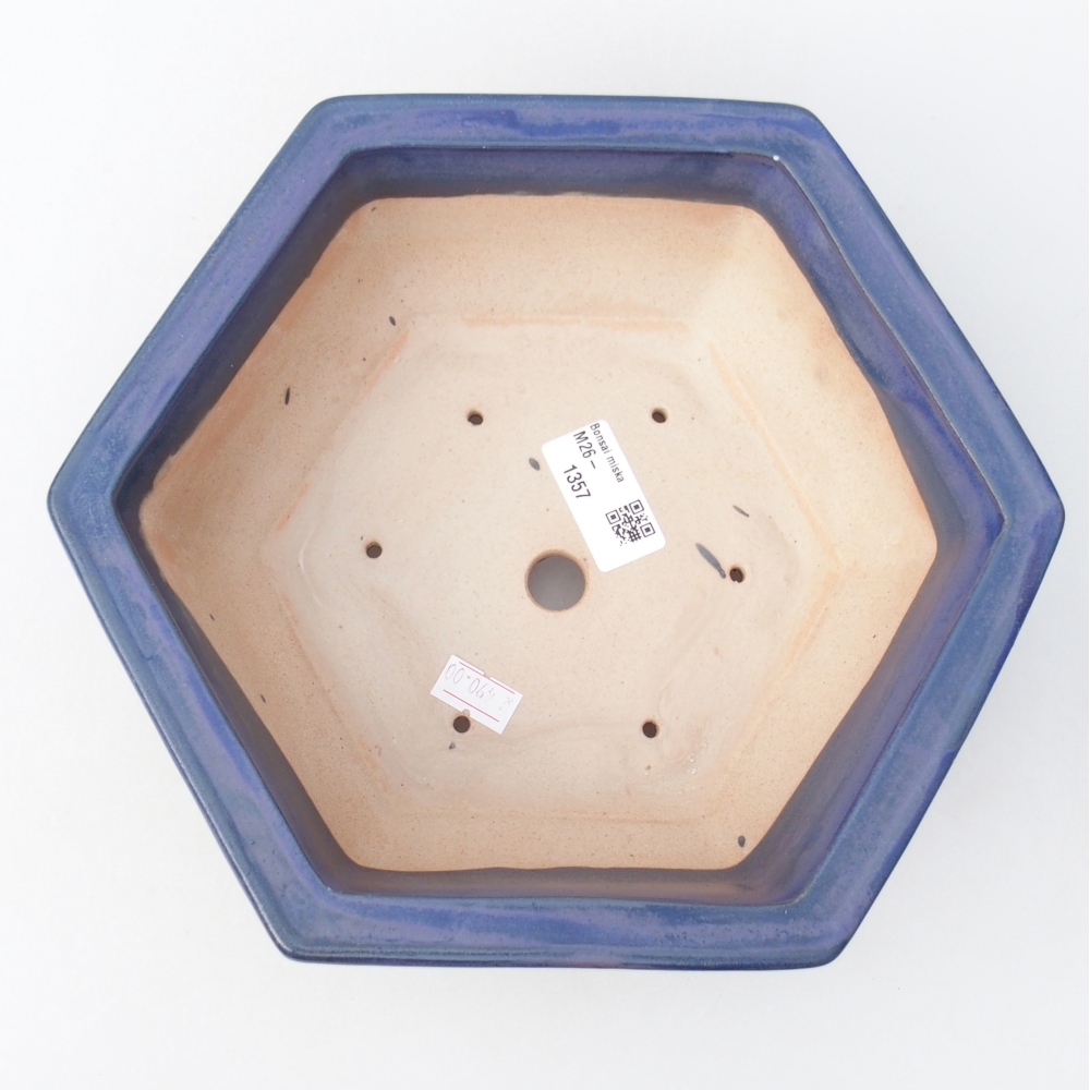 Bol à bonsaï en céramique 24 x 21 x 7,5 cm, couleur bleu
