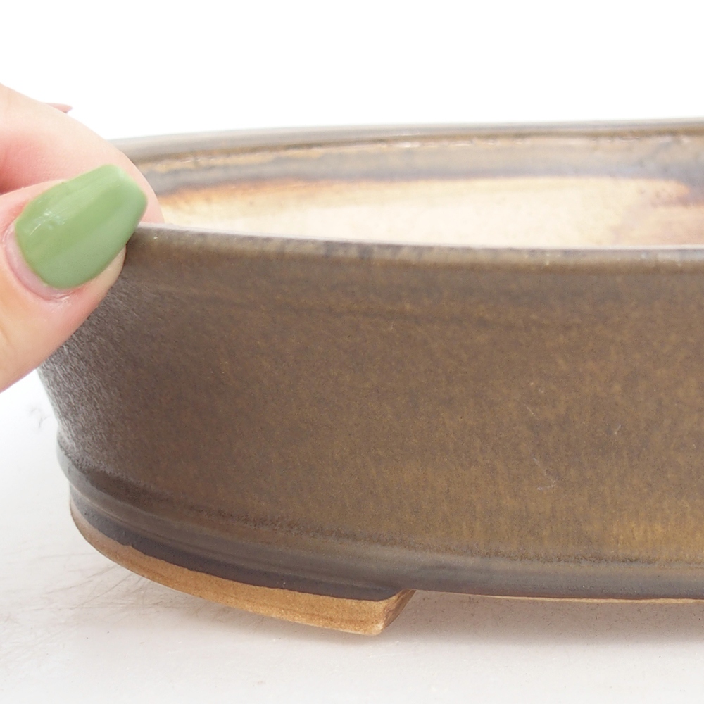 Bol à bonsaï en céramique 28 x 25 x 6,5 cm, brun