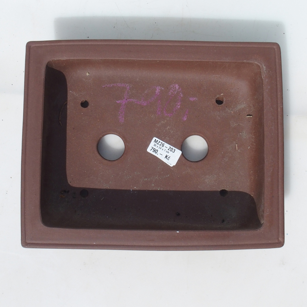 Bol pour bonsaï 30 x 24 x 7 cm bouleau brun