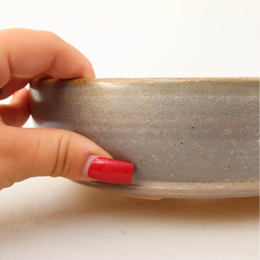 Pot à bonsaï en céramique 19 x 19 x 5,5 cm, couleur beige