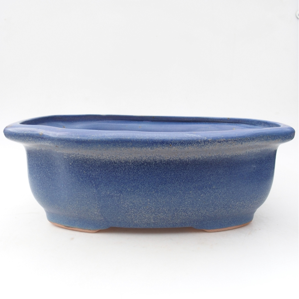 Bol à bonsaï en céramique 30 x 25 x 10 cm, couleur bleu