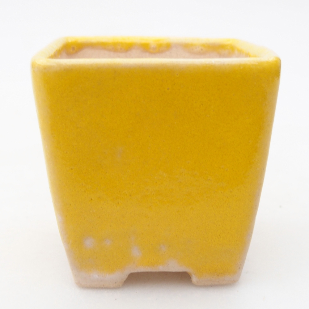 Mini bol bonsaï 5 x 5 x 5 cm, jaune