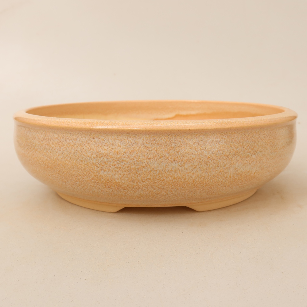Pot à bonsaï en céramique 22,5 x 22,5 x 6,5 cm, couleur beige
