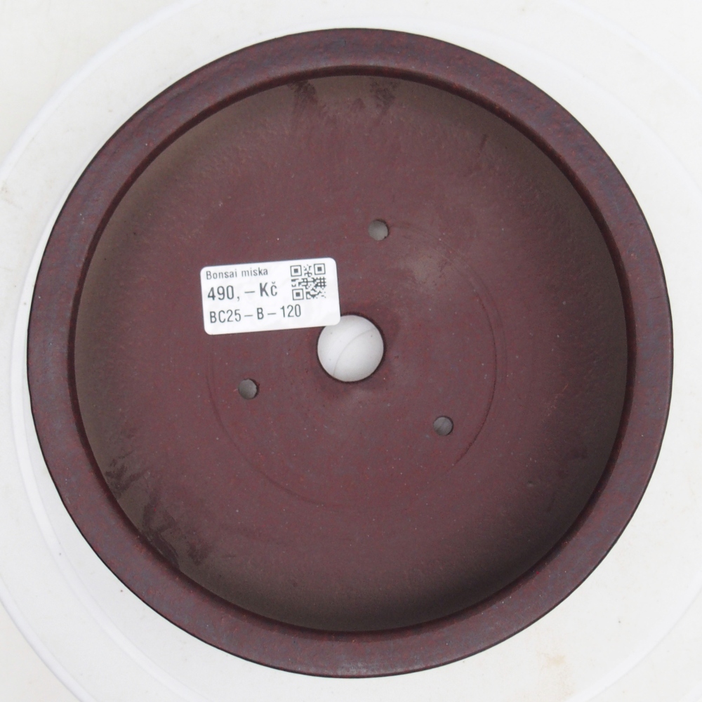 Bol à bonsaï en céramique 17,5 x 17,5 x 4 cm, brun