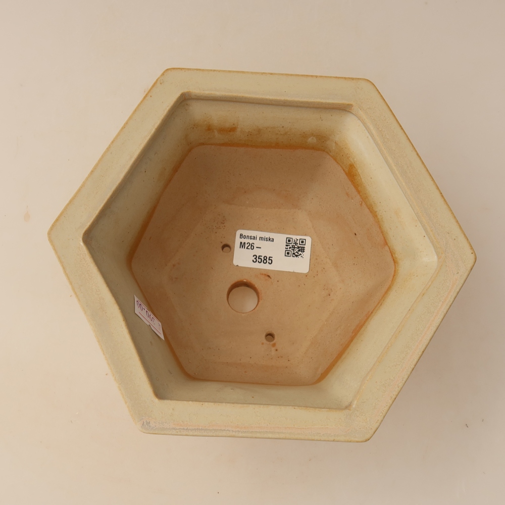 Pot à bonsaï en céramique 18,5 x 16,5 x 9 cm, couleur beige