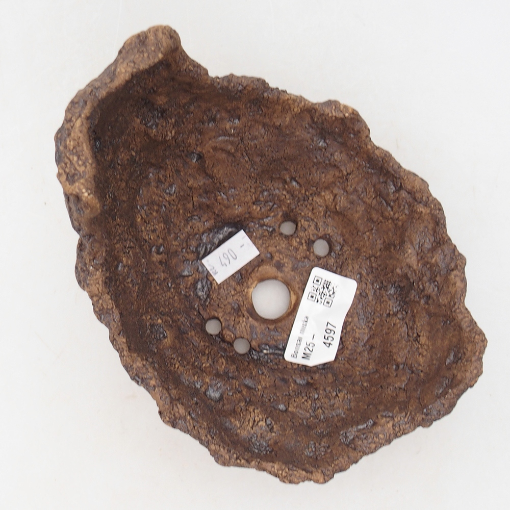 Coquille en céramique 14 x 14 x 13 cm , couleur marron