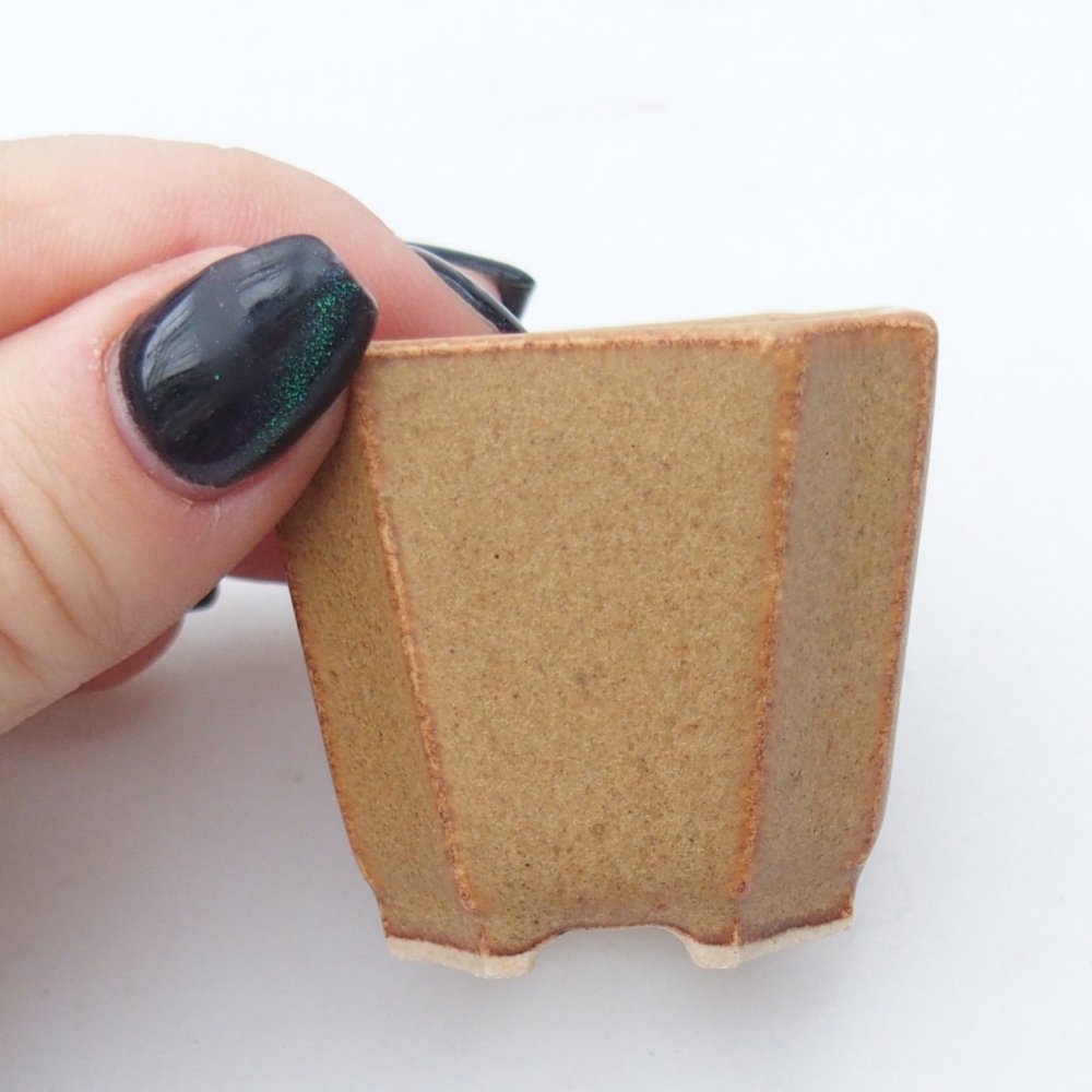 Mini bol bonsaï 4,5 x 4,5 x 4 cm, brun