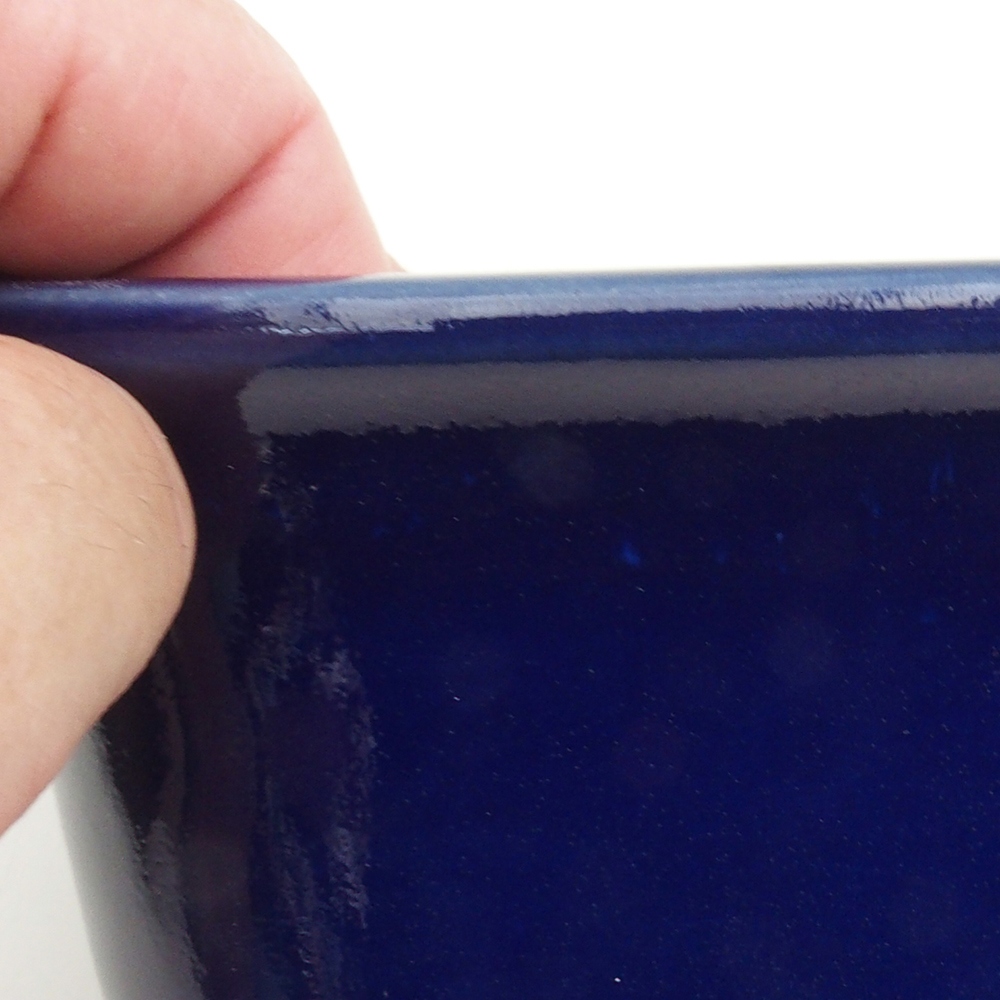 Coupe Bonsaï H36 - 17 x 15 x 7,5 cm - bleu