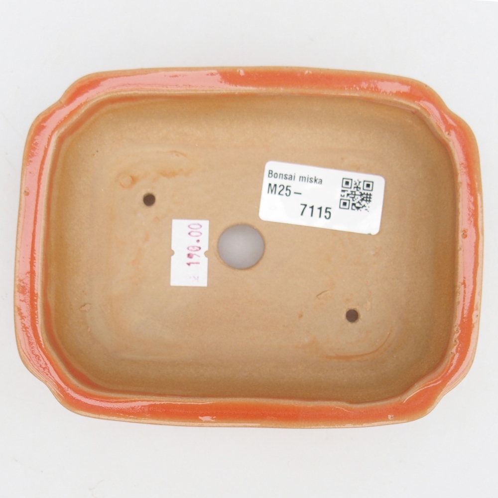 Bol à bonsaï en céramique 14 x 11 x 4 cm, orange