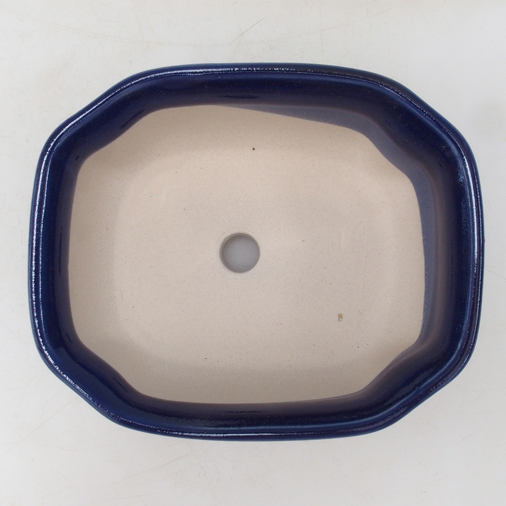 Coupe Bonsaï H31 - 14 x 12 x 5,5 cm - bleu