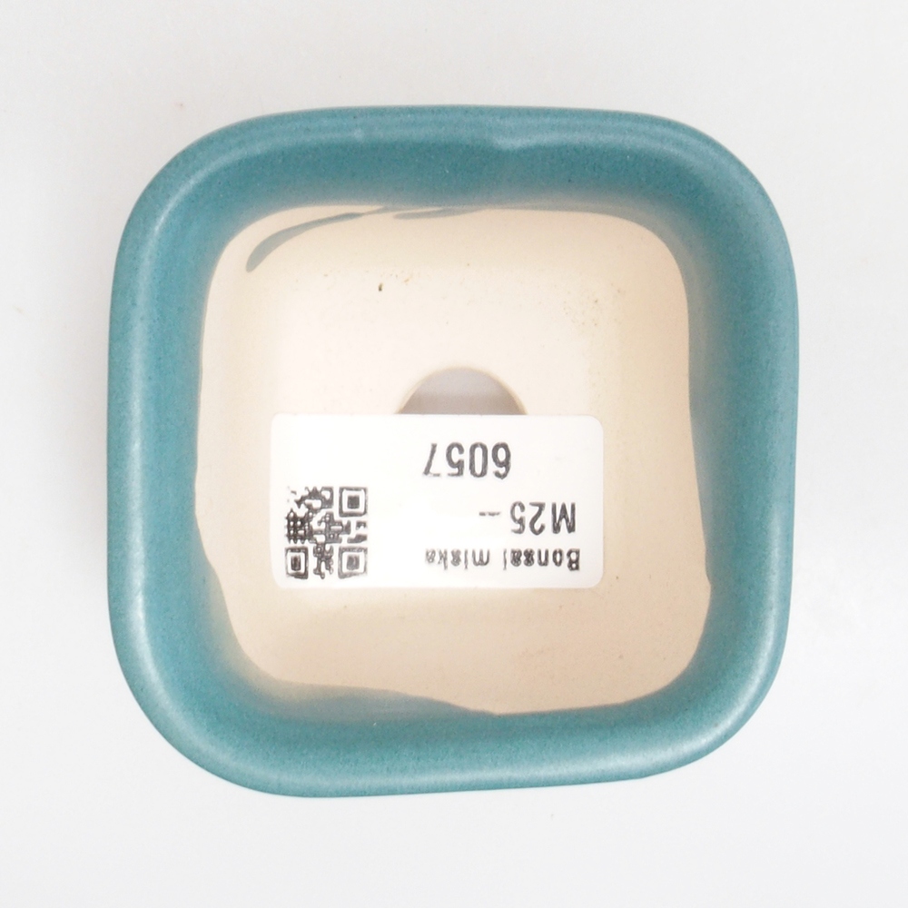 Bol à bonsaï en céramique 6,5 x 5,5 x 4 cm, couleur bleu