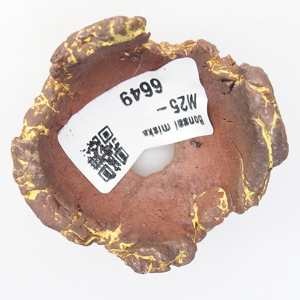 Coquille en céramique 5,5 x 5 x 4 cm , couleur jaune