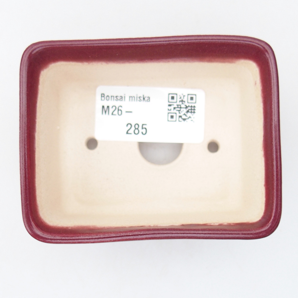 Mini bol bonsaï 8 x 6,5 x 3,5 cm, bordeaux