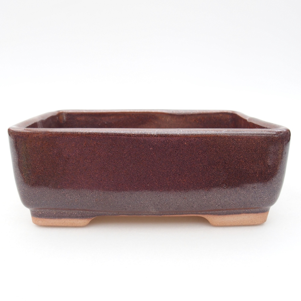 Bol à bonsaï en céramique 15 x 11 x 5,5 cm, brun