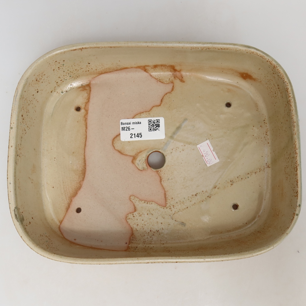 Pot à bonsaï en céramique 23 x 18 x 5,5 cm, couleur beige