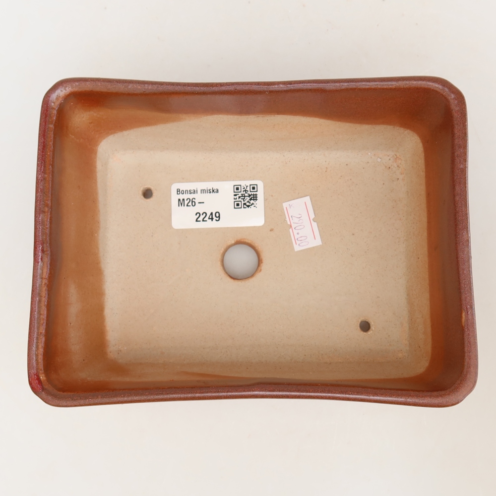 Bol à bonsaï en céramique 16 x 12 x 6 cm, bordeaux