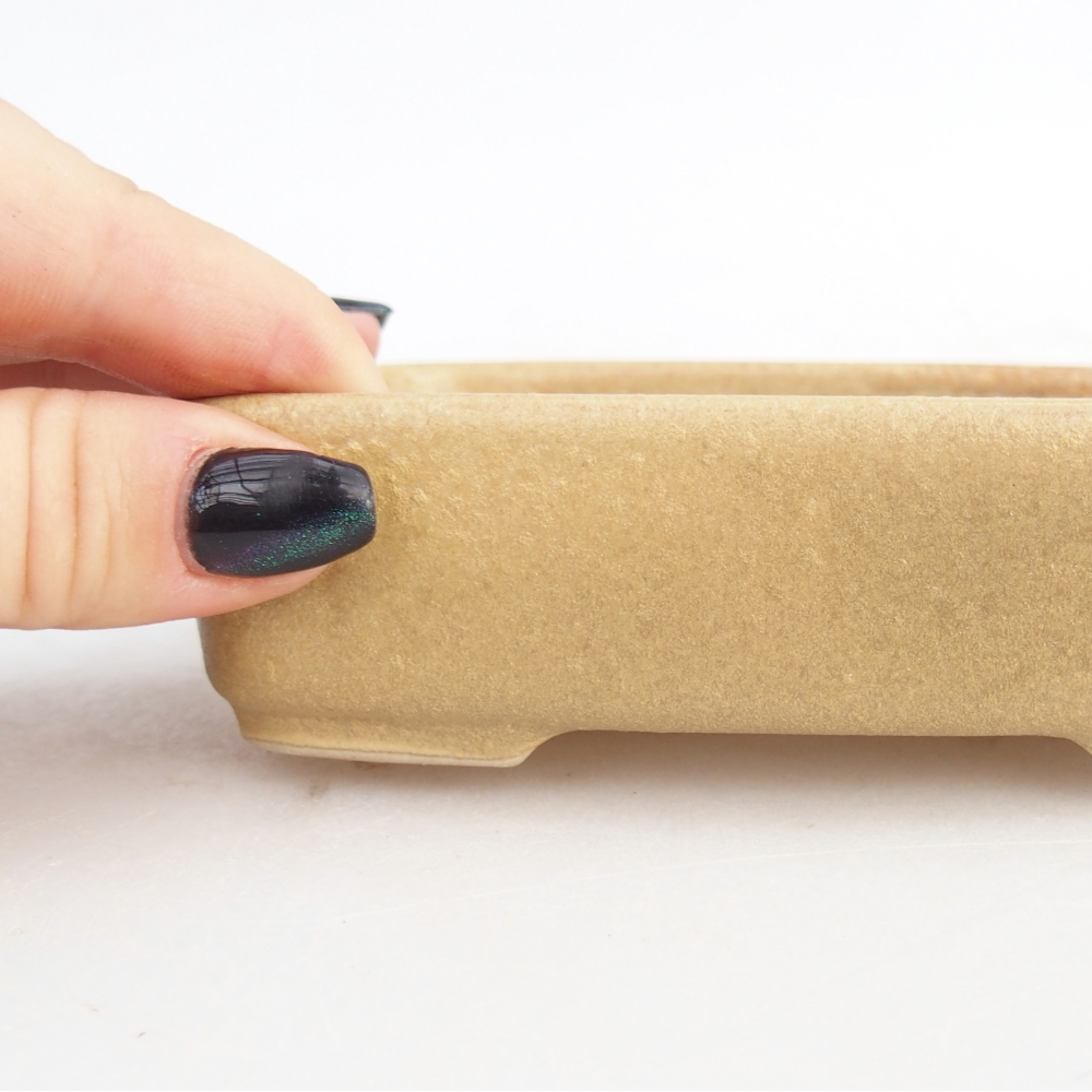 Bol à bonsaï en céramique 12,5 x 9,5 x 3,5 cm, couleur beige