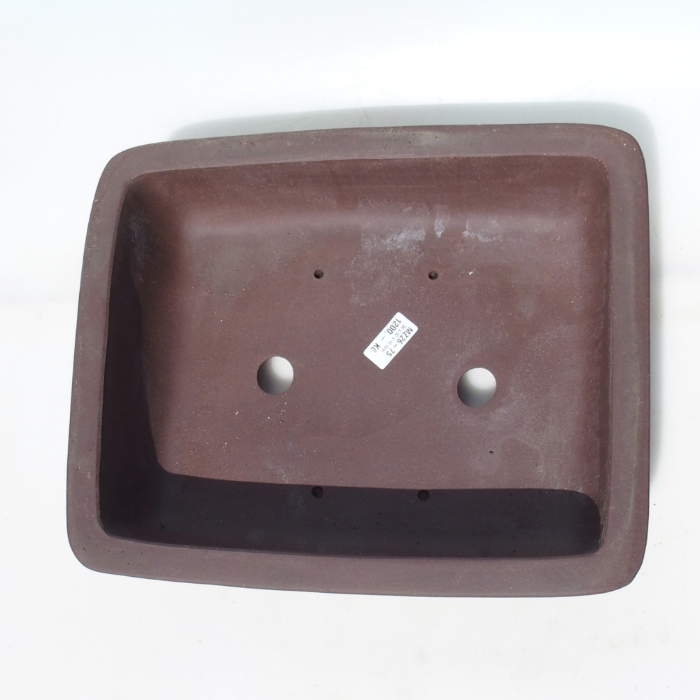 Bol pour bonsaï 39 x 32 x 10,5 cm bouleau brun