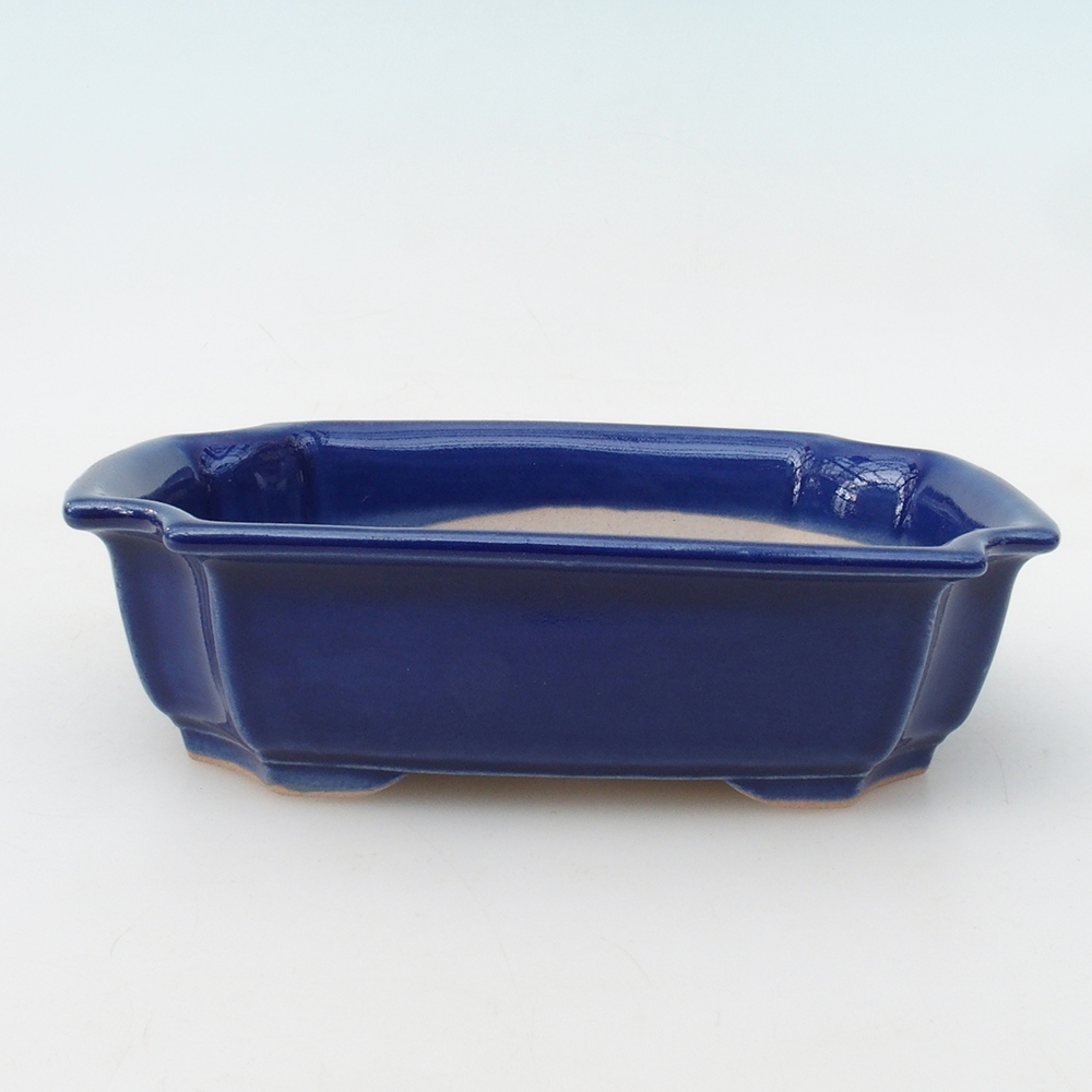 Coupe bonsaï H17 - 15 x 10 x 4 cm - bleu