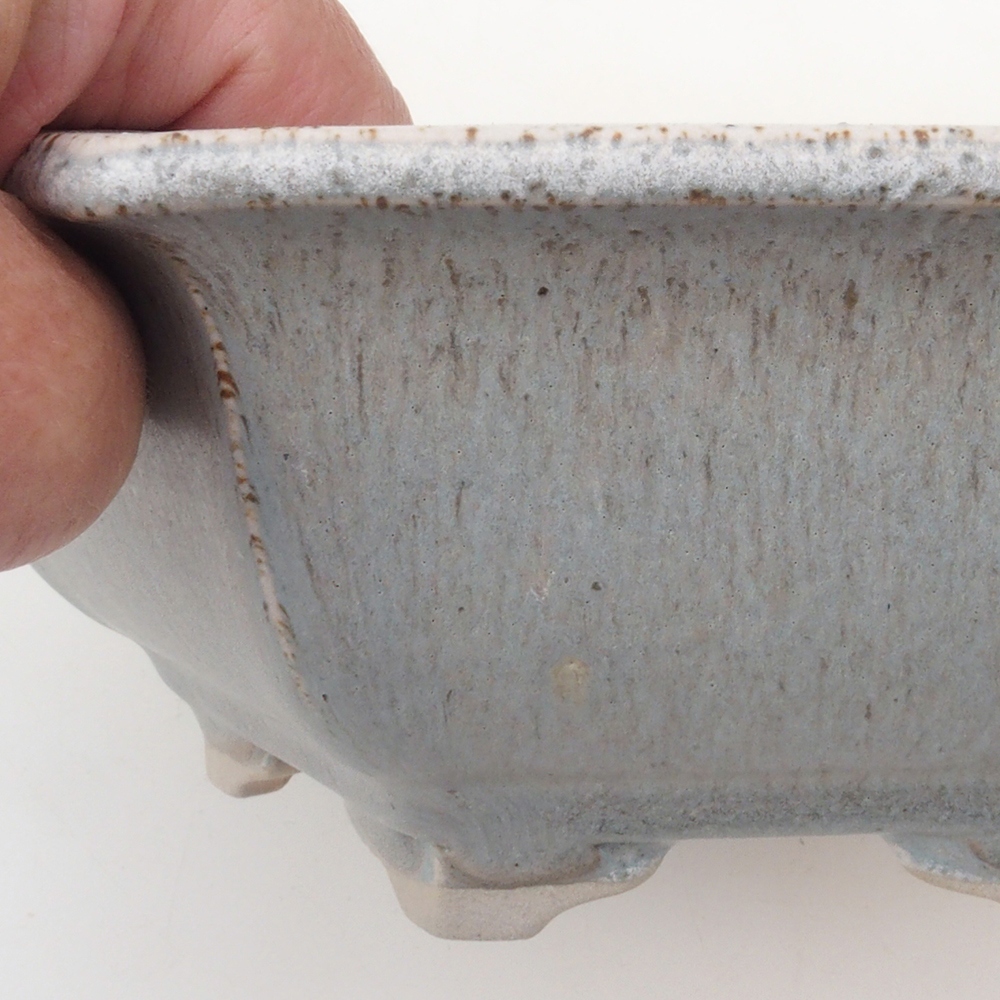 Coupe bonsaï H53 - 19 x 21,5 x 7 cm - beige