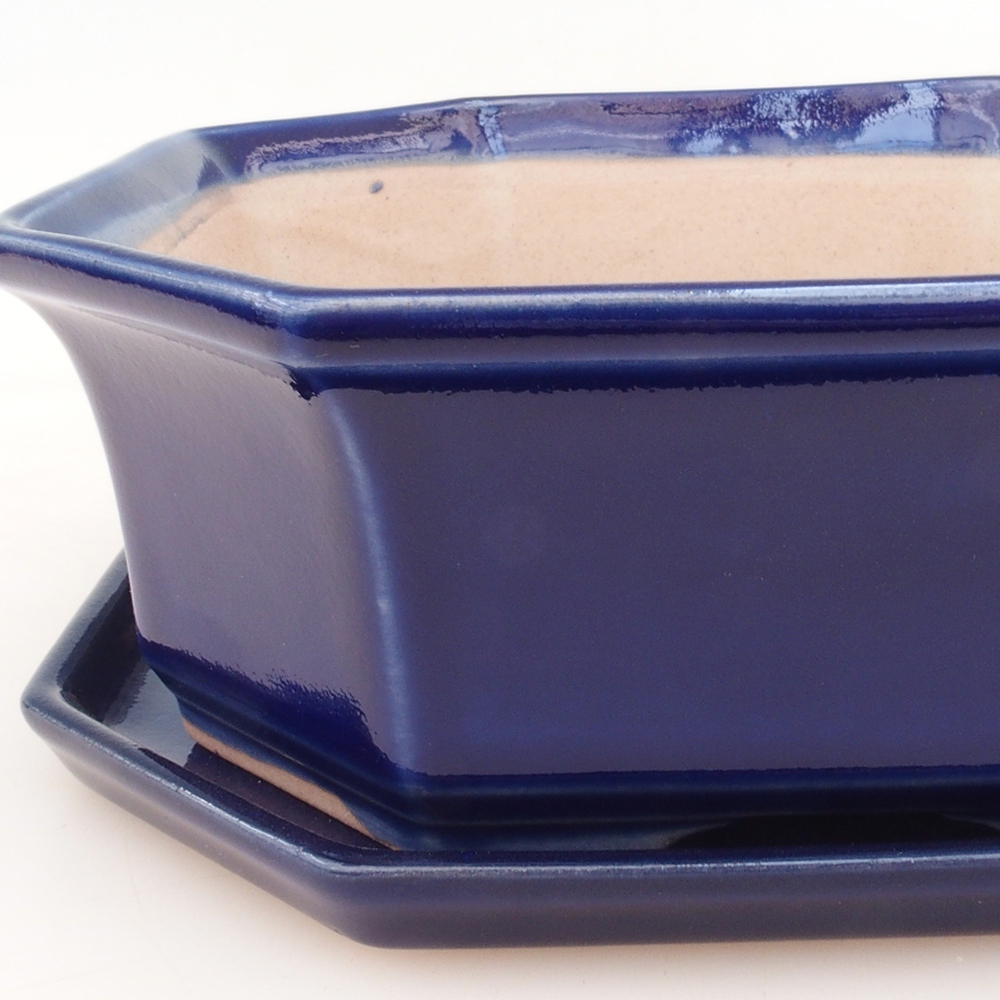 Bol Bonsaï + soucoupe H14 - bleu