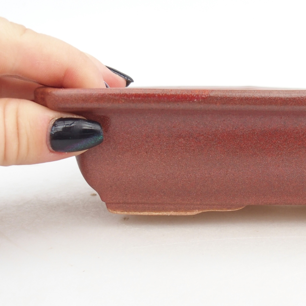 Bol à bonsaï en céramique 18 x 13,5 x 4,5 cm, bordeaux