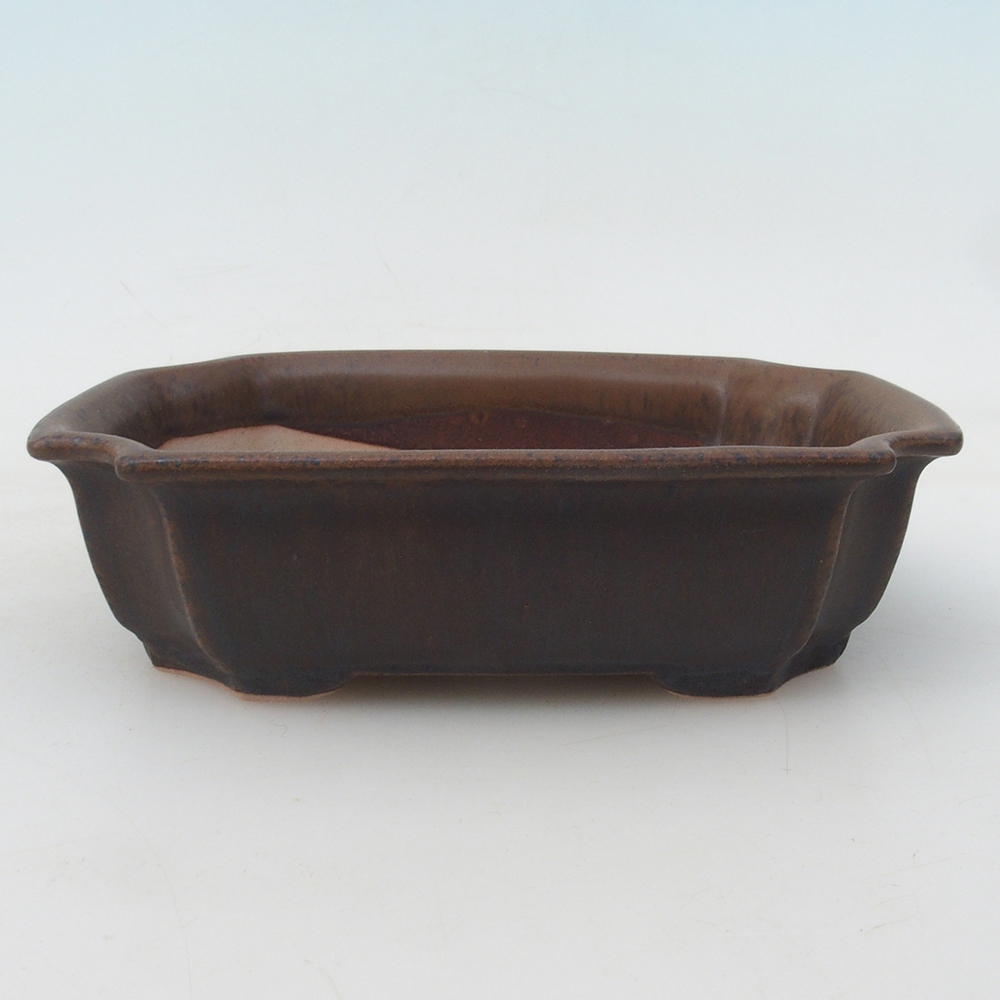 Bol bonsaï + soucoupe H17 - 15 x 10 x 4 cm - marron
