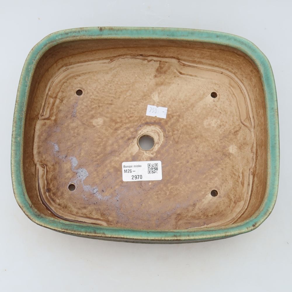 Pot à bonsaï en céramique 24,5 x 20,5 x 6,5 cm, couleur verte