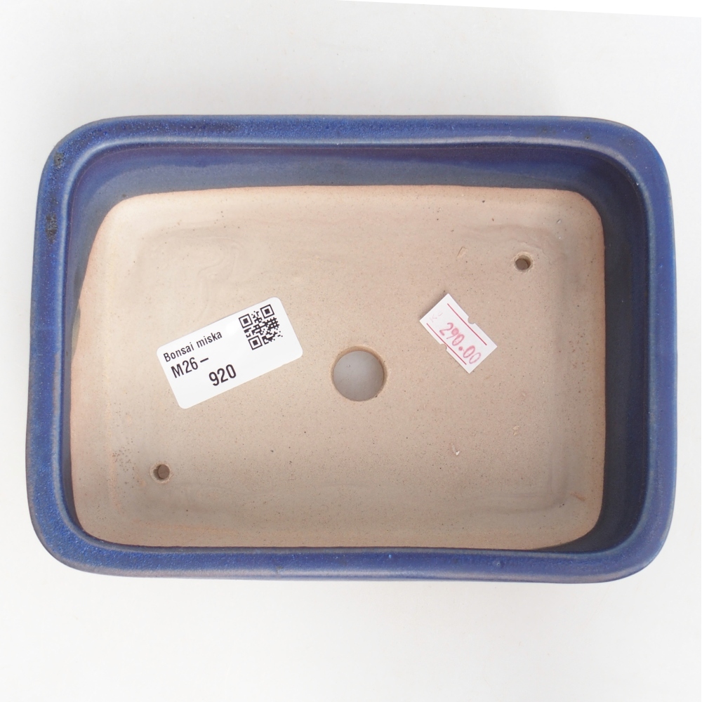 Bol à bonsaï en céramique 16,5 x 12 x 5,5 cm, couleur bleu