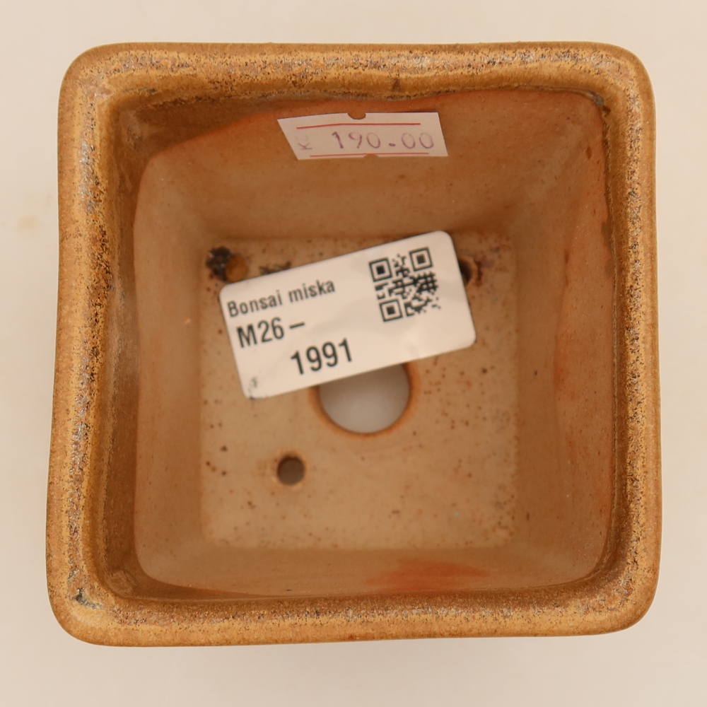 Pot à bonsaï en céramique 7,5 x 7,5 x 6,5 cm, couleur beige