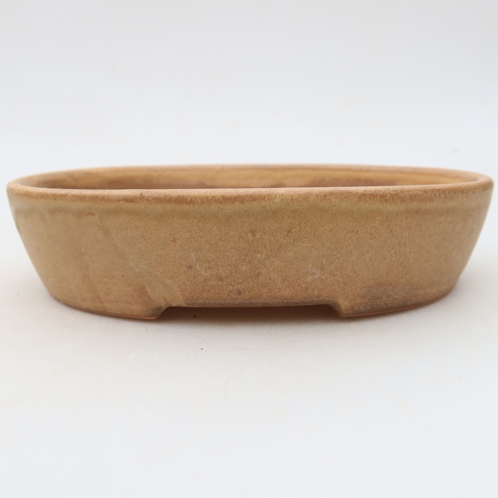 Bol à bonsaï en céramique 17 x 14 x 4 cm, couleur beige