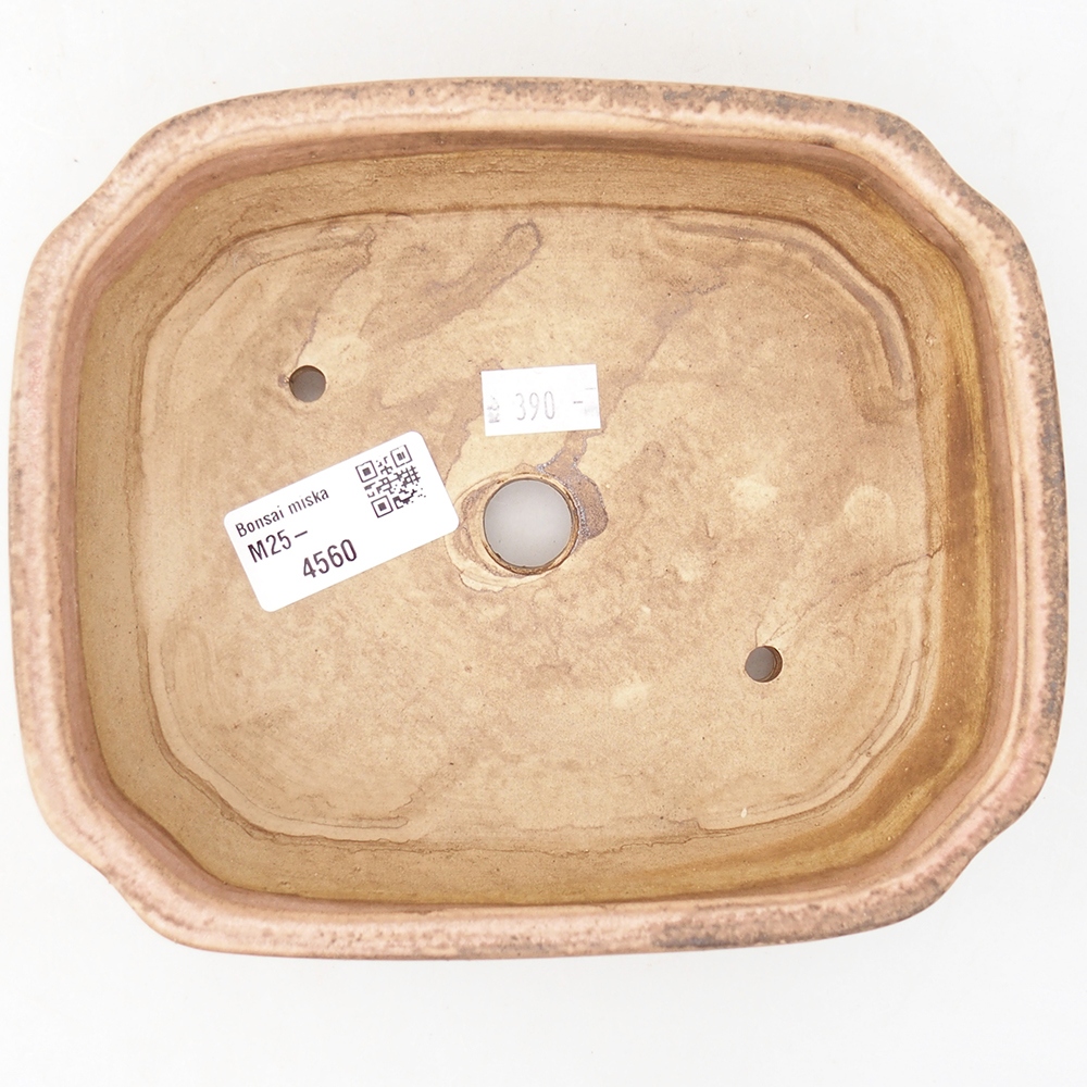 Bol à bonsaï en céramique 17 x 14,5 x 5 cm, rose