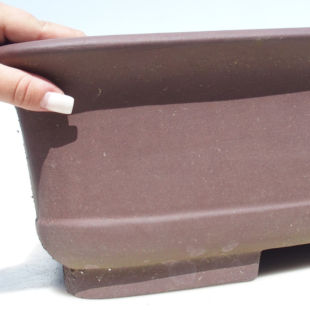 Bol pour bonsaï 65 x 48 x 16 cm - brun