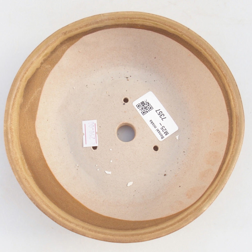 Bol à bonsaï en céramique 17,5 x 17,5 x 5 cm, couleur beige